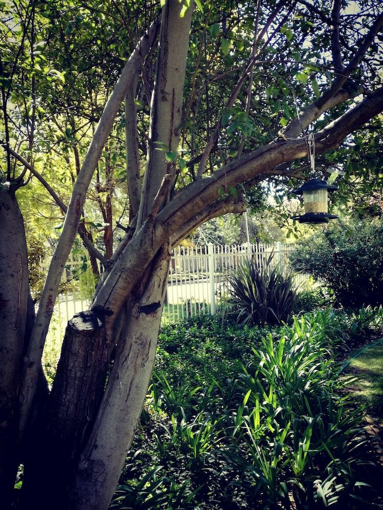 Hotel Bayswater Lodge