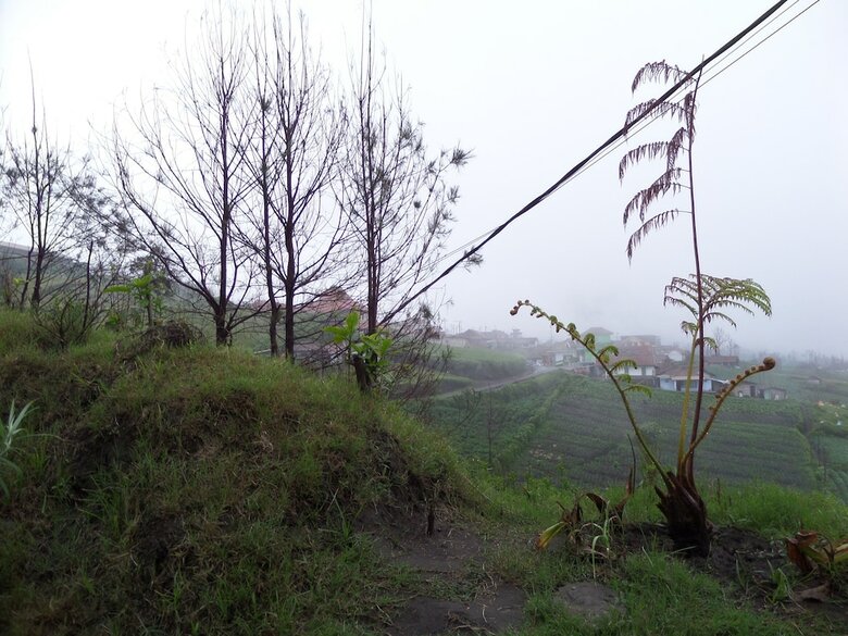Hotel Pondok Wisata Adas