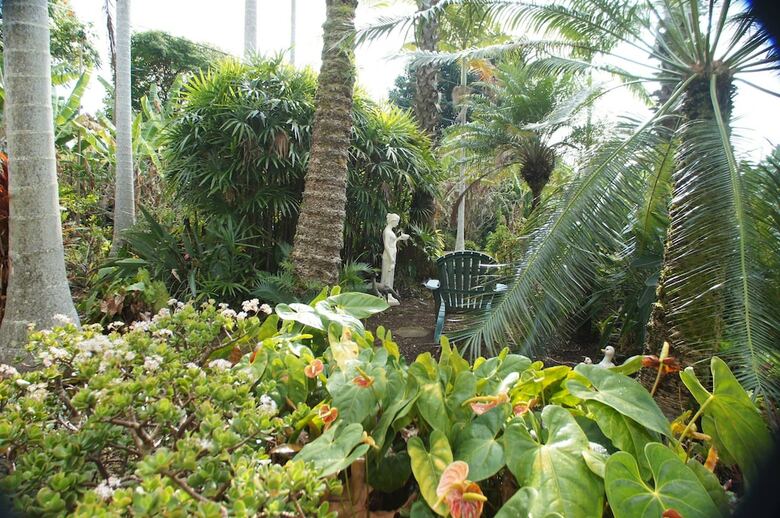 Bed & Breakfast Mermaid Dreams