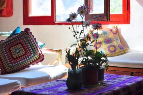 Bed & Breakfast La Casa Chica Hostel
