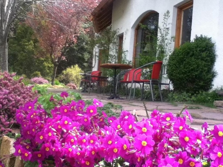 Bed & Breakfast Bellevue