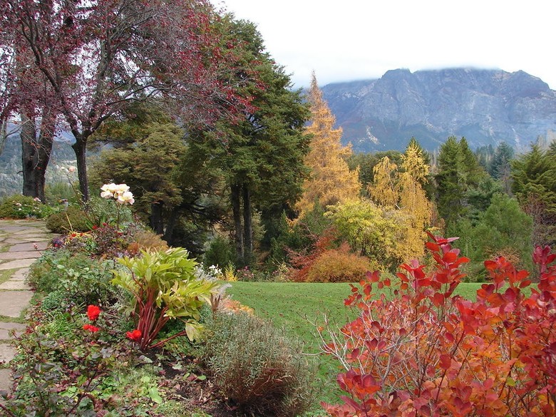 Bed & Breakfast Bellevue