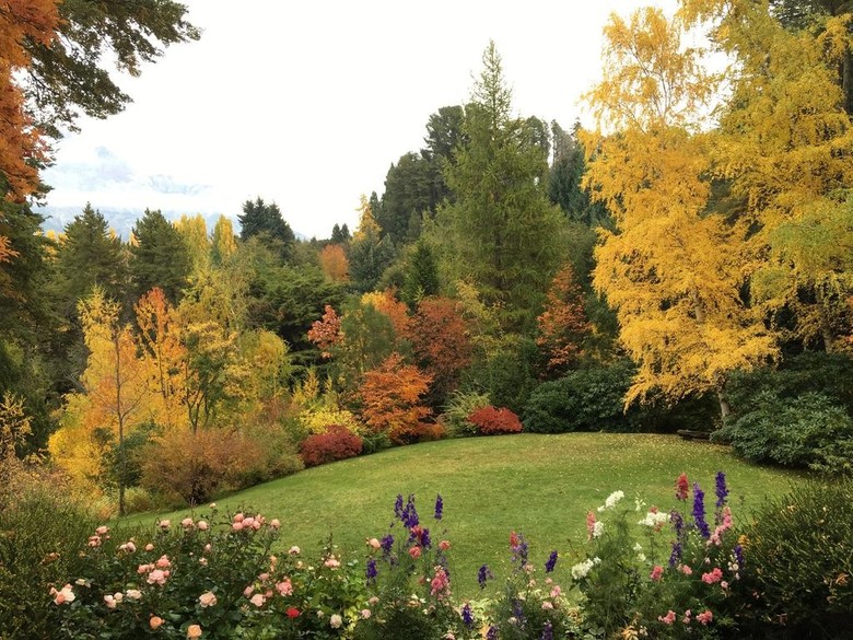 Bed & Breakfast Bellevue