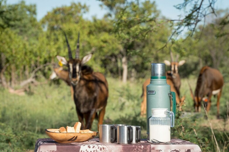 Posada Bushwa Game Lodge