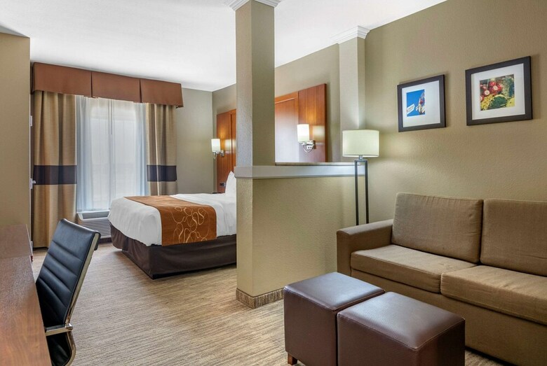 Hotel Comfort Suites University