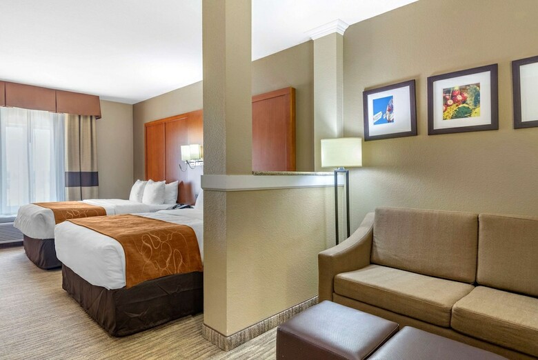 Hotel Comfort Suites University