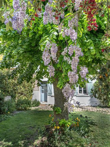 Bed & Breakfast Le Clos Tellier
