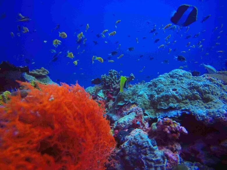 Hotel Rasdhoo Holiday Home