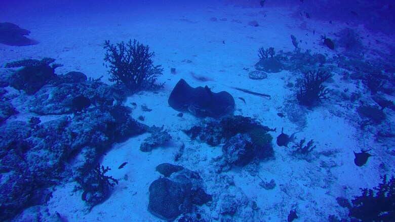 Hotel Rasdhoo Holiday Home