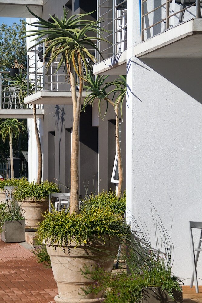Quiver Tree Self Catering Apartments