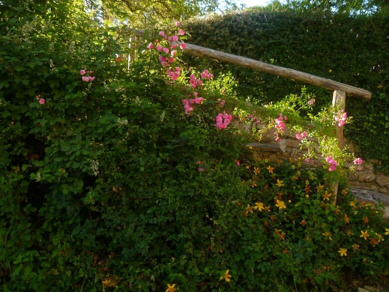 Agroturismo Agriturismo Basaletto
