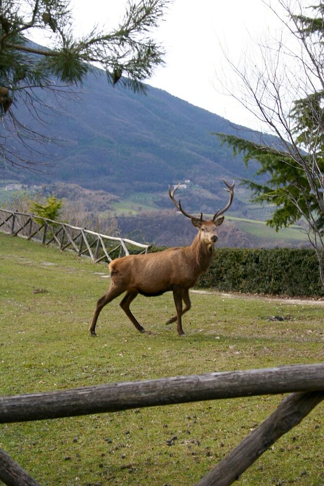 Agroturismo Agriturismo Basaletto