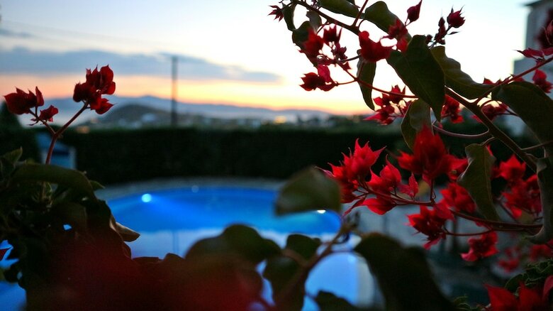 Aparthotel Hotel Proteas