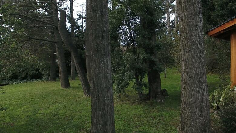 Posada La Malinka