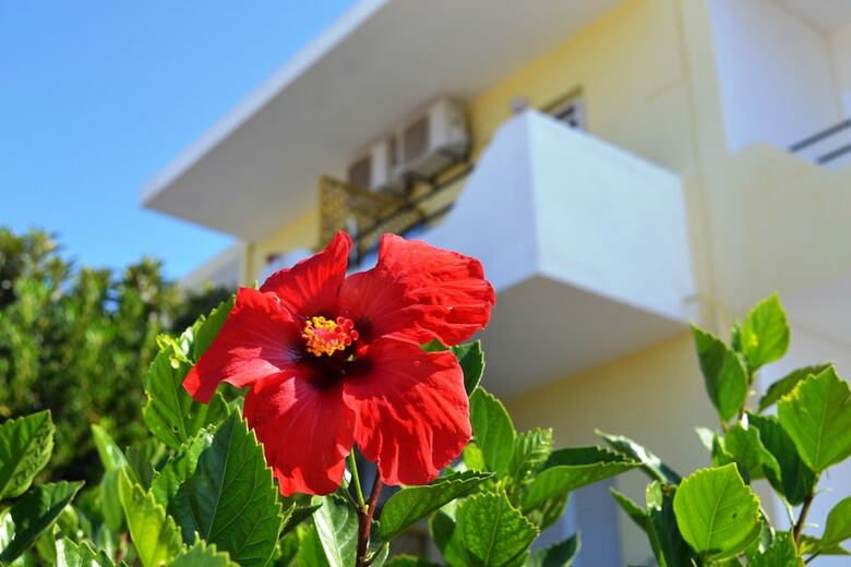 Yiannis Apartments