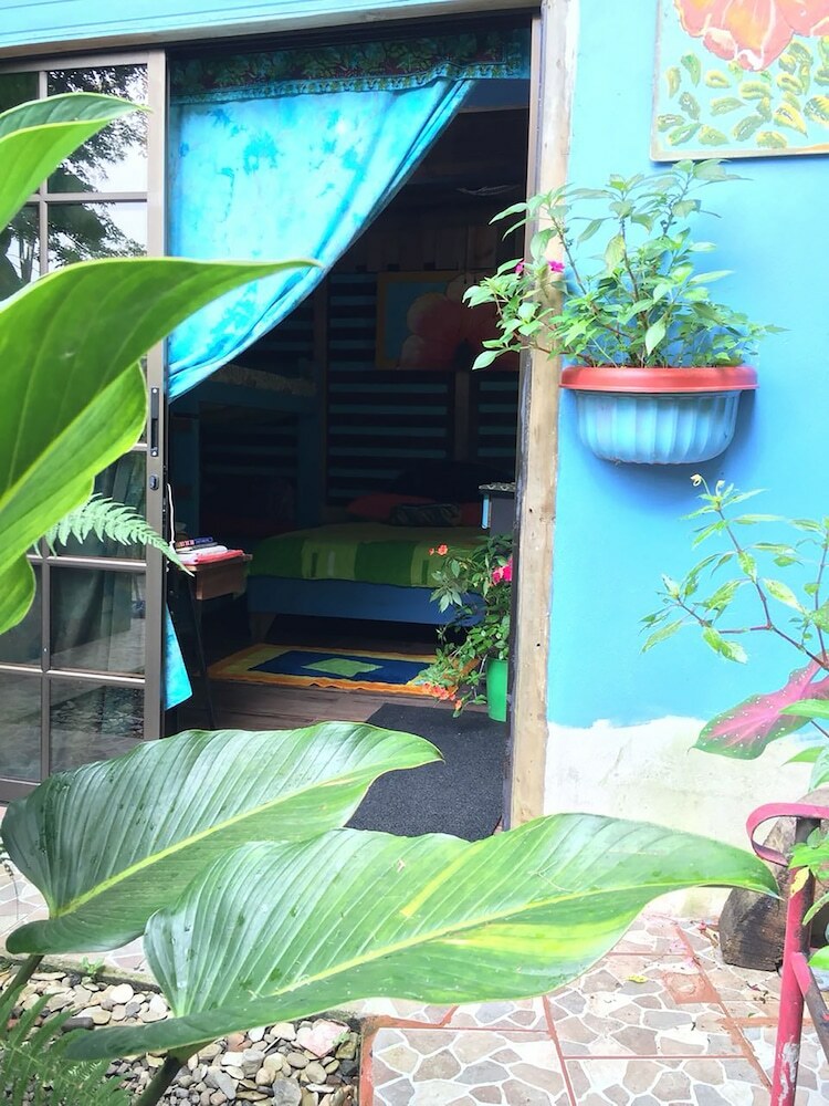 Hostal Wood House Hostel