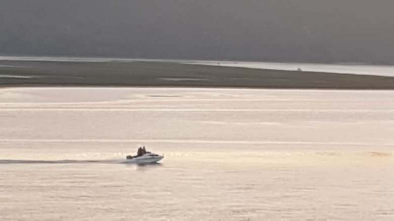 Bed & Breakfast Phoenix Lodge And Waterside Accommodation