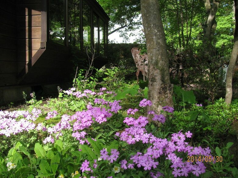 Bed & Breakfast La Forest de Nome Karuizawa