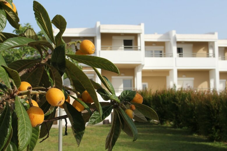 Skion Palace Beach Hotel