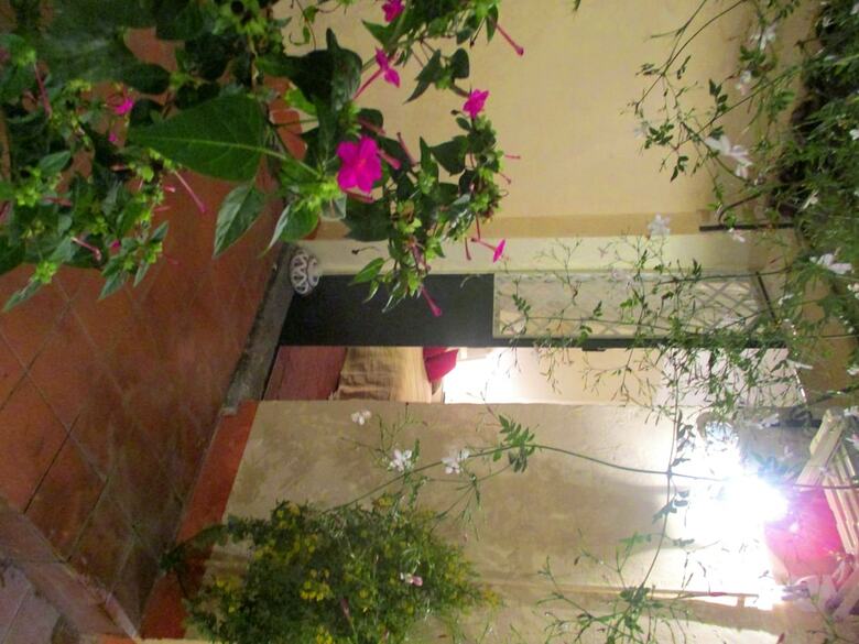 Bed & Breakfast La Mia Diletta Oasi