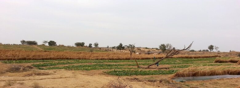 Umaid Safaris & Desert Lodge