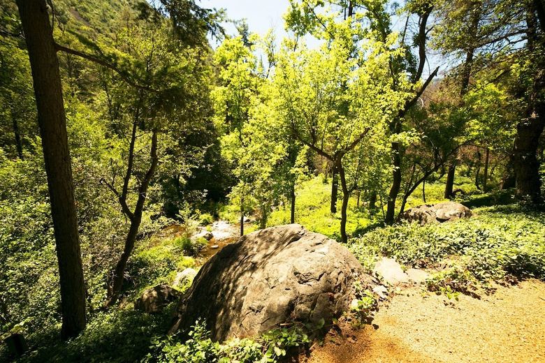 Posada Orchard Canyon On Oak Creek