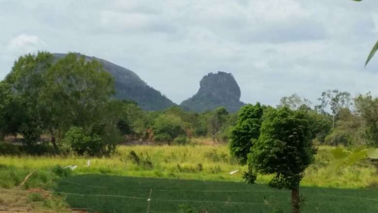 Hotel Sigiri Wilderness Resort