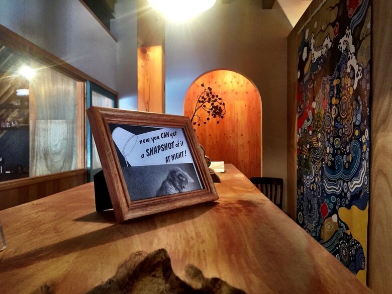 Hostal Hostel Lnk (Lodging & Kin) - Hostel