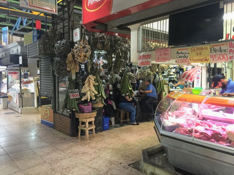 Bed & Breakfast Ruta Verde House