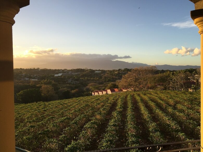 Bed & Breakfast Ruta Verde House