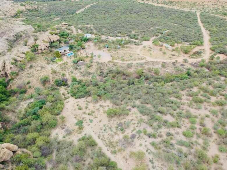 Sasa Safari Camp