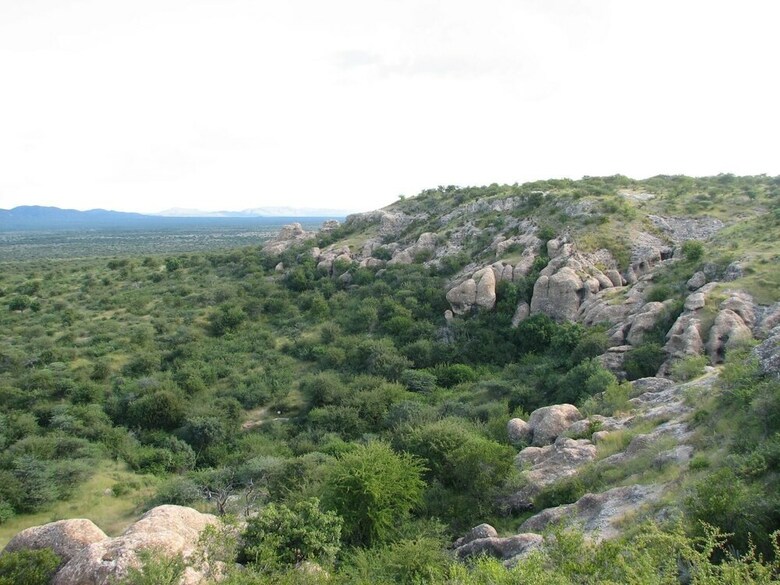 Sasa Safari Camp