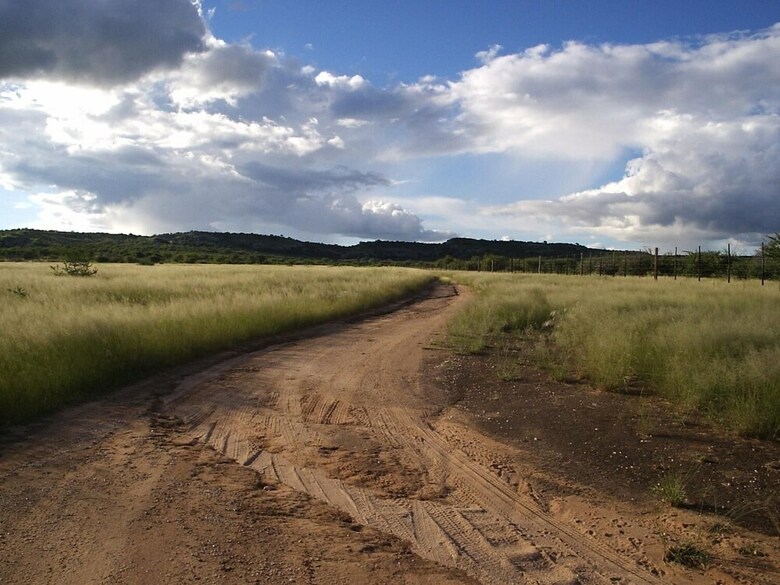 Sasa Safari Camp