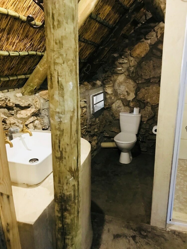 Sasa Safari Camp