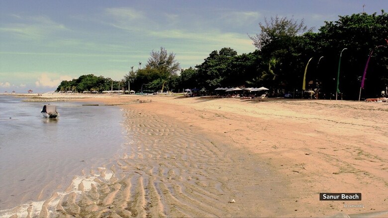 Hotel Zen Rooms Homey Sanur