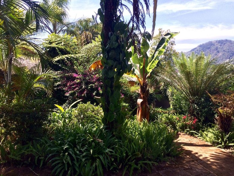 Posada Magoebaskloof Mountain Lodge