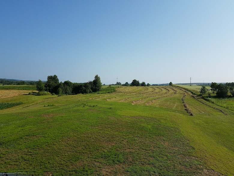Agroturismo Villa Stone