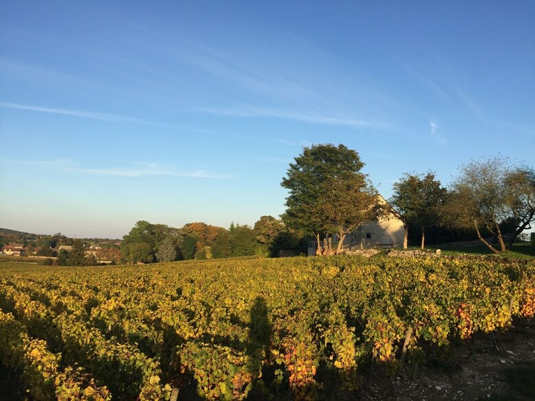 Villa La Maison Du Clos Du Roi