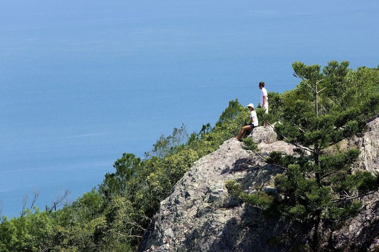 Apartamento Palm Bungalows