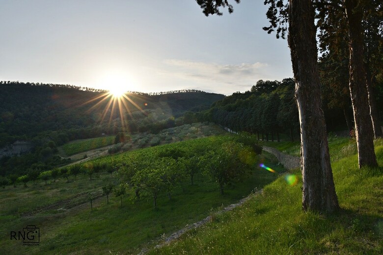 Agroturismo Agriturismo Colle Pu
