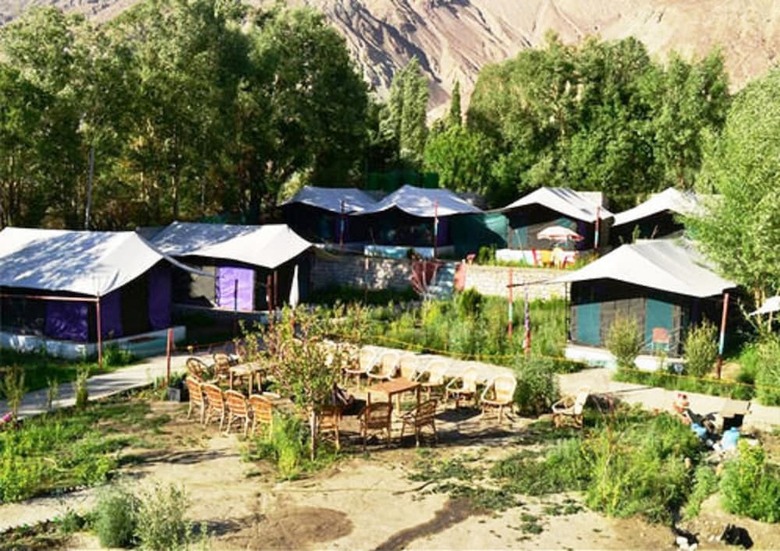 Valley Flower Camp Nubra