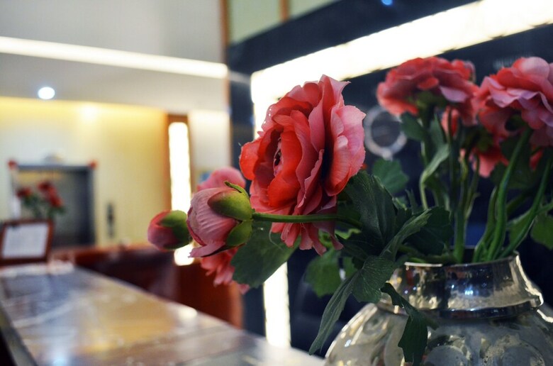 Rosa Valls Hotel