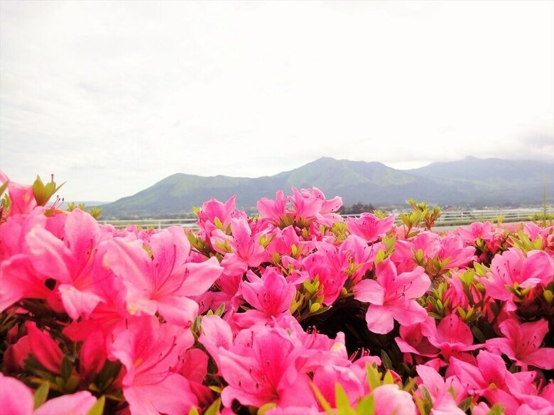Hotel Shiki No Mori