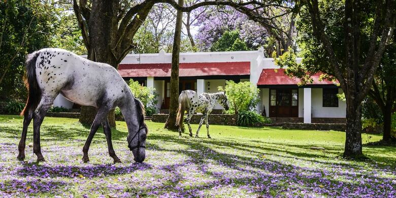 Posada Ngare Sero Mountain Lodge