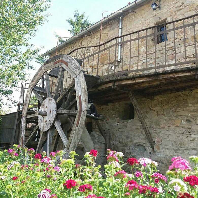 Apartamento Podere Casina Rossa