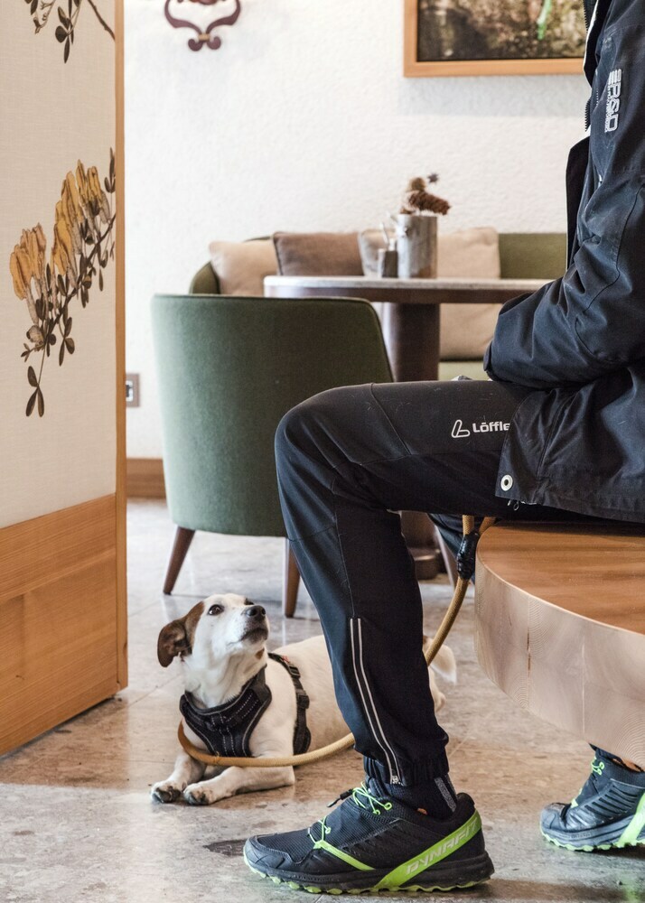 Hotel Faloria Mountain Spa Resort