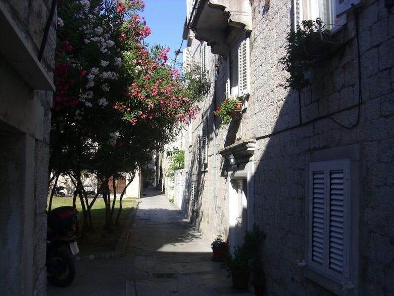 Hotel Carol Rooms