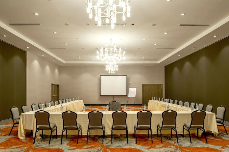 Hotel Araiza San Luis