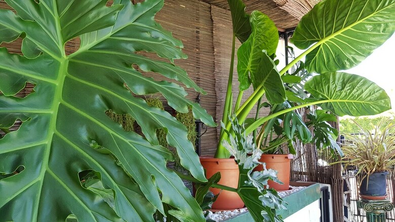 Hotel Posada Alpujarra Sol