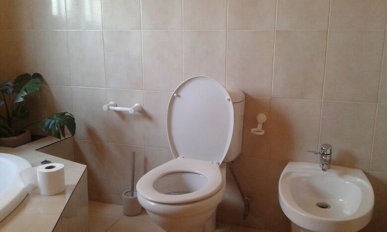 Hotel Inca-rose Guest House